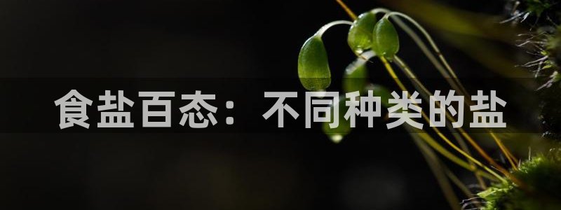 威九国际78mB