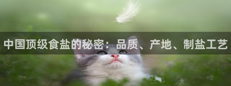 78mapp威九国际人民网