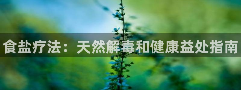 威九国际免费版