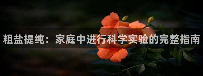 威九国际成长模式