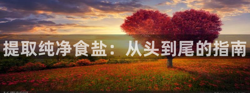 威九国际安全吗
