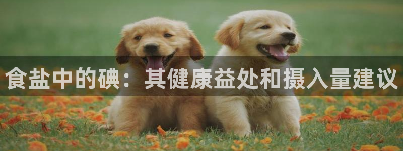 威九国际最受欢迎的功能
