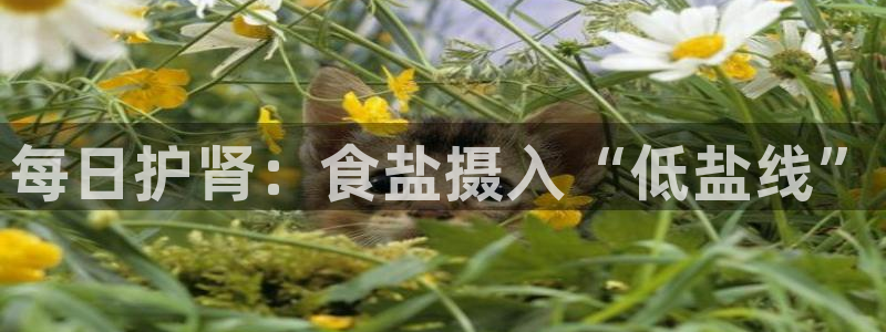 威九国际官网版