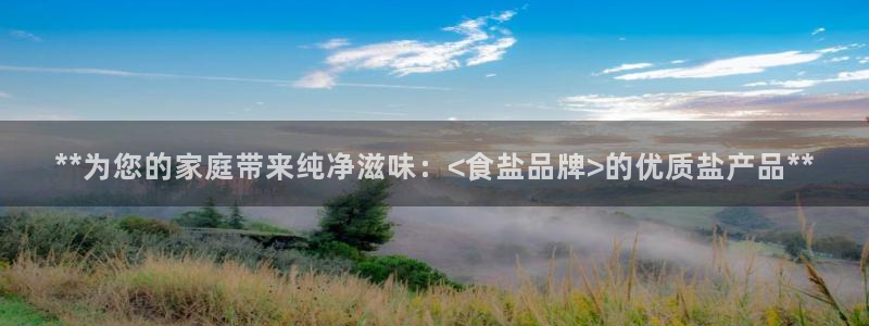 威九国际ppt免费下载