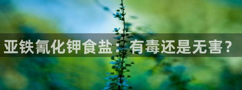 威九国际网站怎么样知乎
