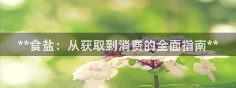 78mapp威九国际网页版