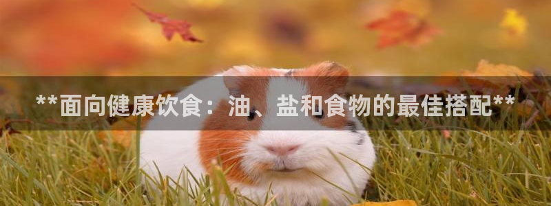 威九国际电视