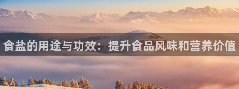 威九国际网站官网