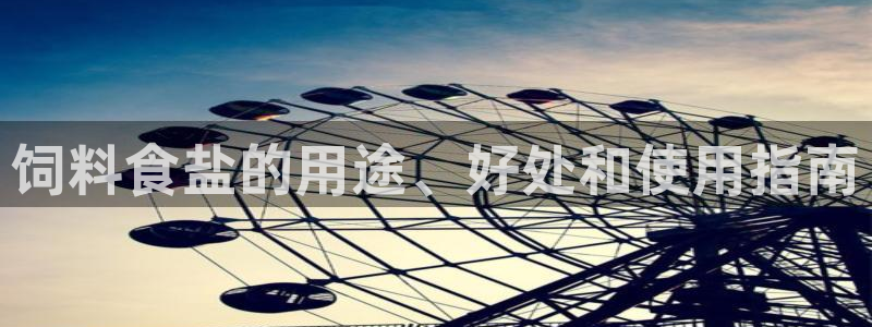 威九国际韩国