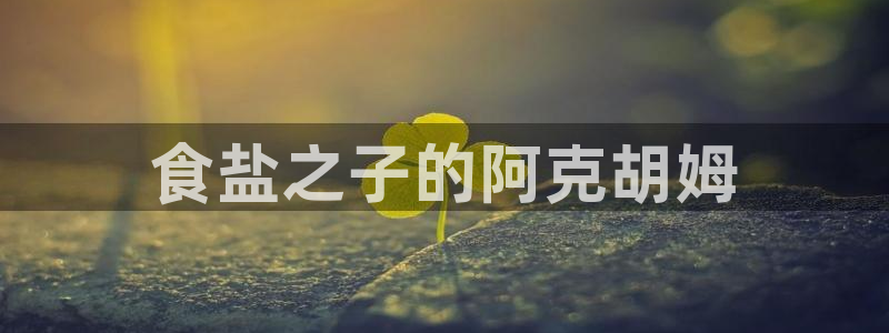 威九国际官网在线进入网站查询