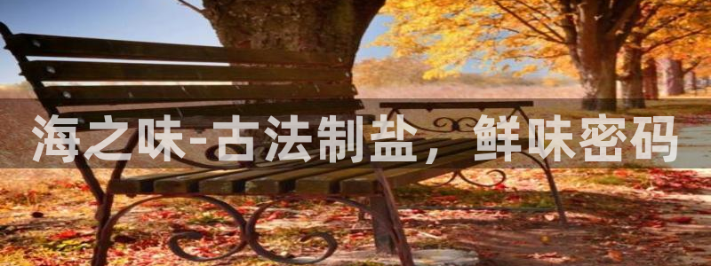 威九国际软件公司简介