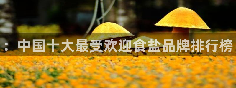 78.m威九国际官网版