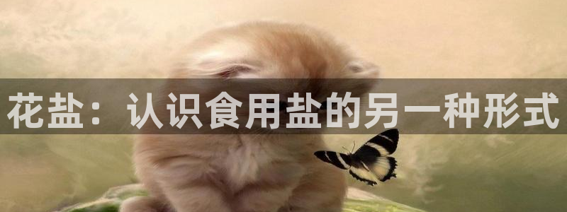 威九国际Info