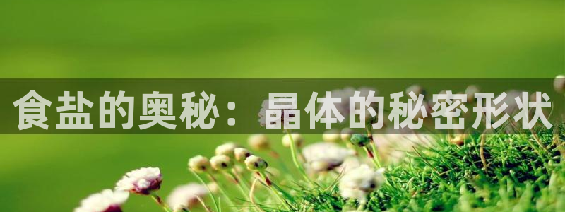 威九国际78m九妹