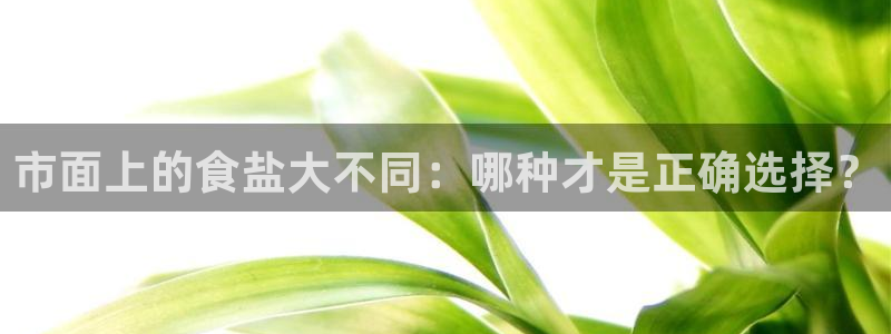 威九国际vA9618