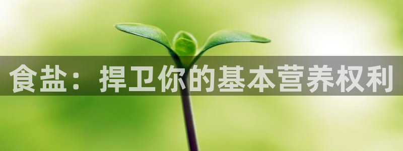 威九国际网站入口官网免费下载