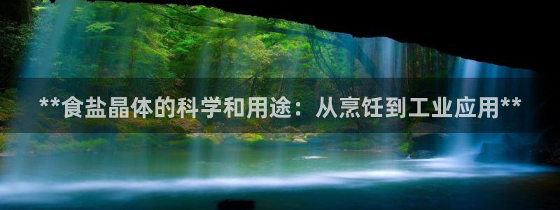 威九国际全国空降