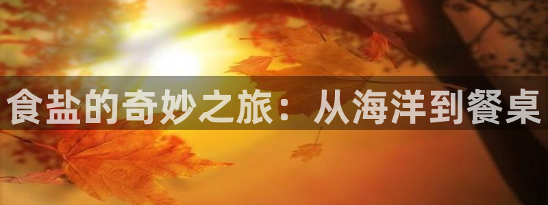 威九国际66视频