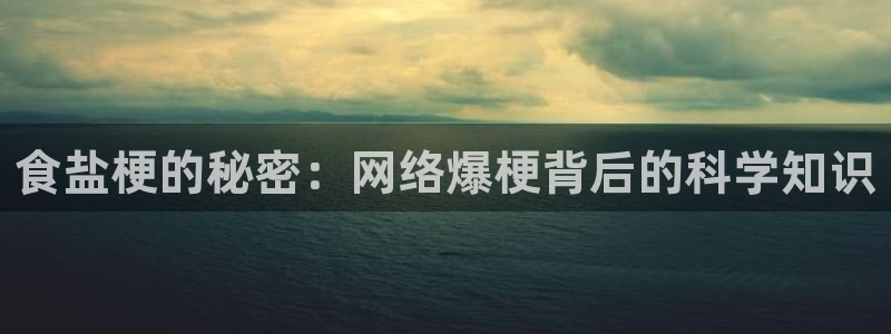 威九国际惠子