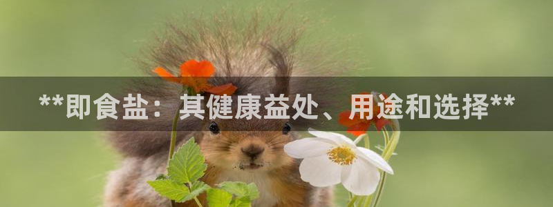 威九国际安全吗的认证团队