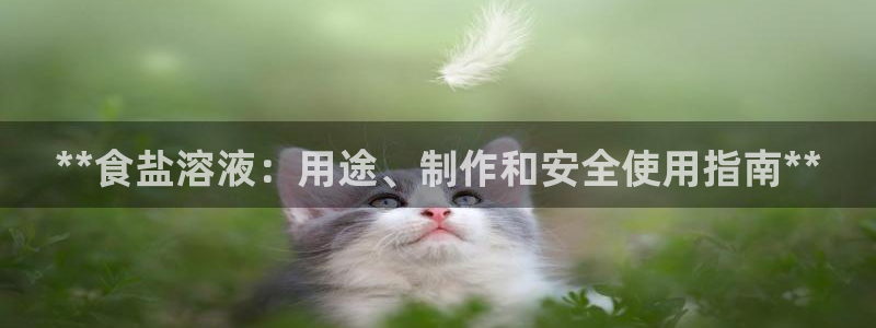 威九国际安全吗