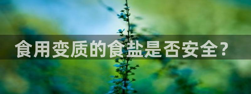威九国际旗下艺人