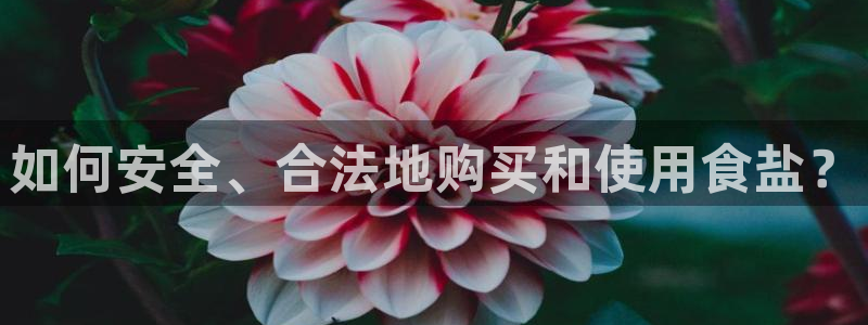 威九国际空降服务女演员叫什么名字