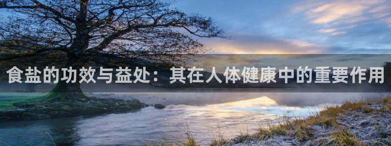 威九国际78免下载