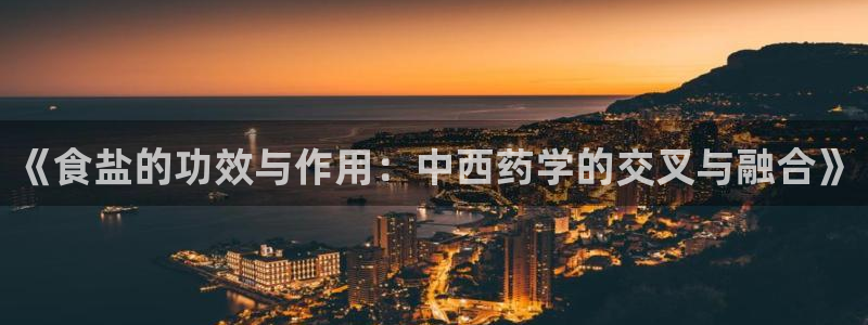 威九国际电子有限公司