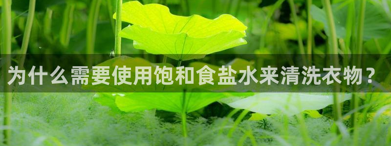 威九国际ppt免费下载