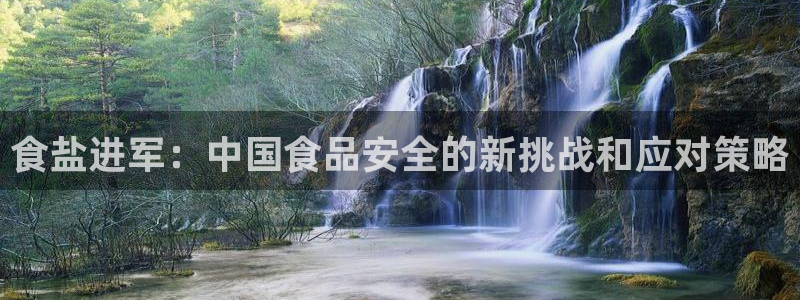 威九国际fX8x
