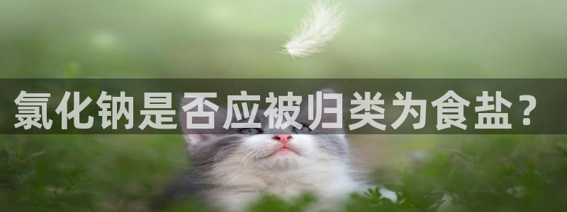 威九国际客服电话人工服务