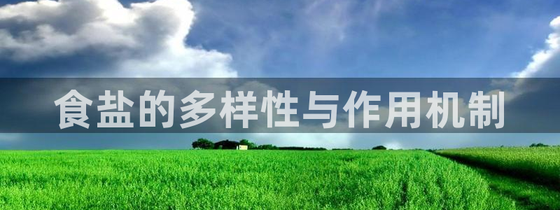 威九国际app哪个地方