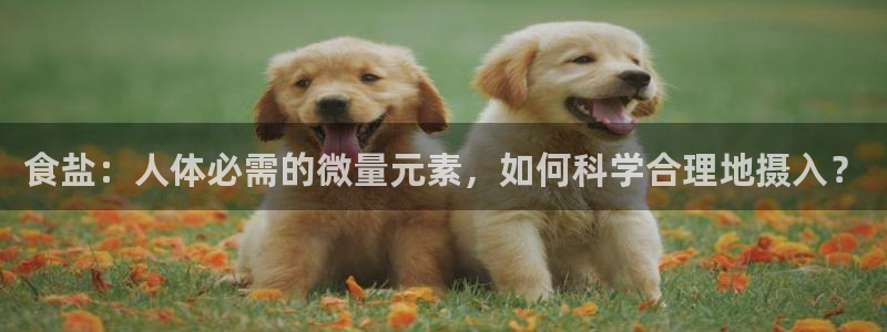 78mapp威九国际网