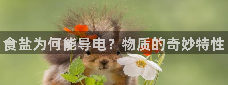 威九国际发布新版eBzxin2Tp
