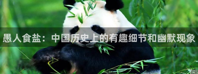 威九国际清砖码头在哪