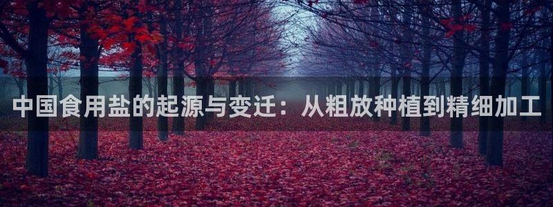 威九国际网页看视频弹窗的广告拦截插件