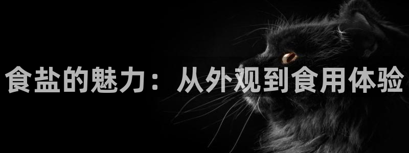 威九国际网站入口官网免费下载：食盐的魅力：从外观到食用体验
