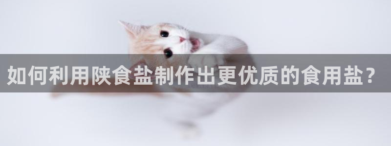 威九国际游戏app网址