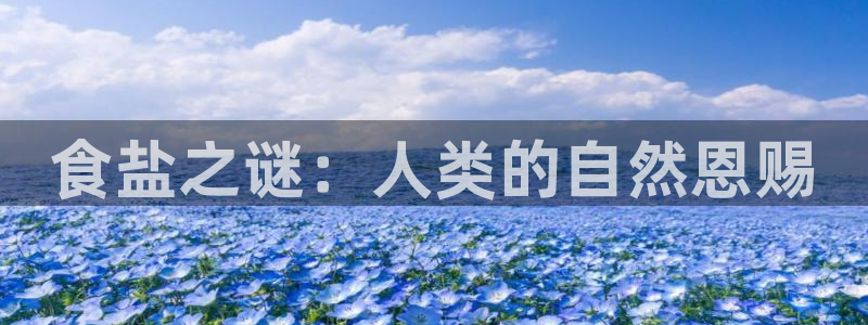 威九国际女演员好漂亮