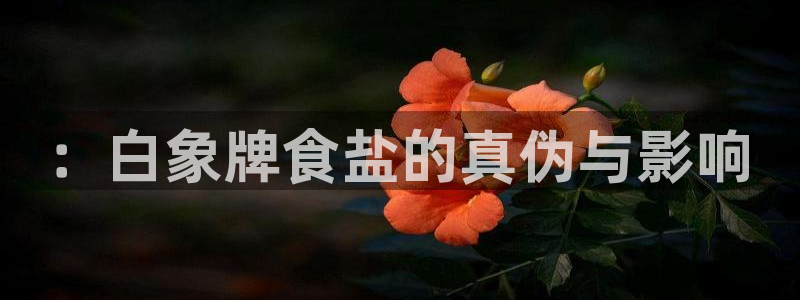 威九国际78mb玩法