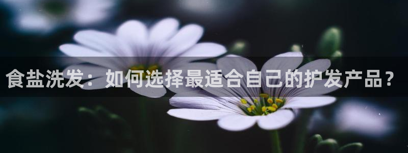 威九国际FT