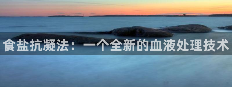 威九国际女主角