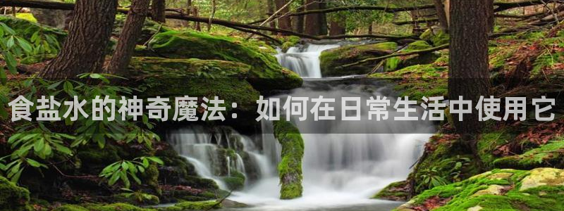 威九国际特殊奖励