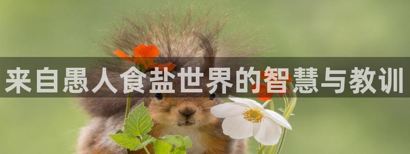 威九国际app网站官网