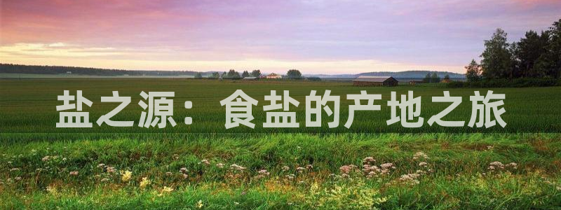 威九国际ppt免费