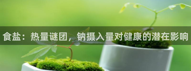 威九国际官网版