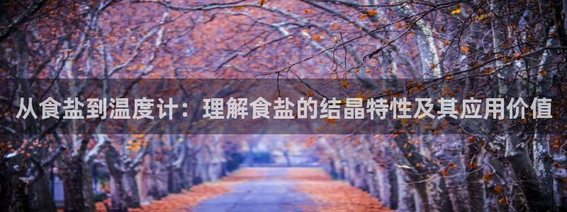 威九国际网站进入客服中心怎么退出：从食盐到温度计：理解食盐的