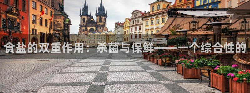 威九国际成长模式