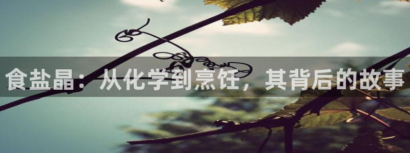 威九国际官网登录入口网址